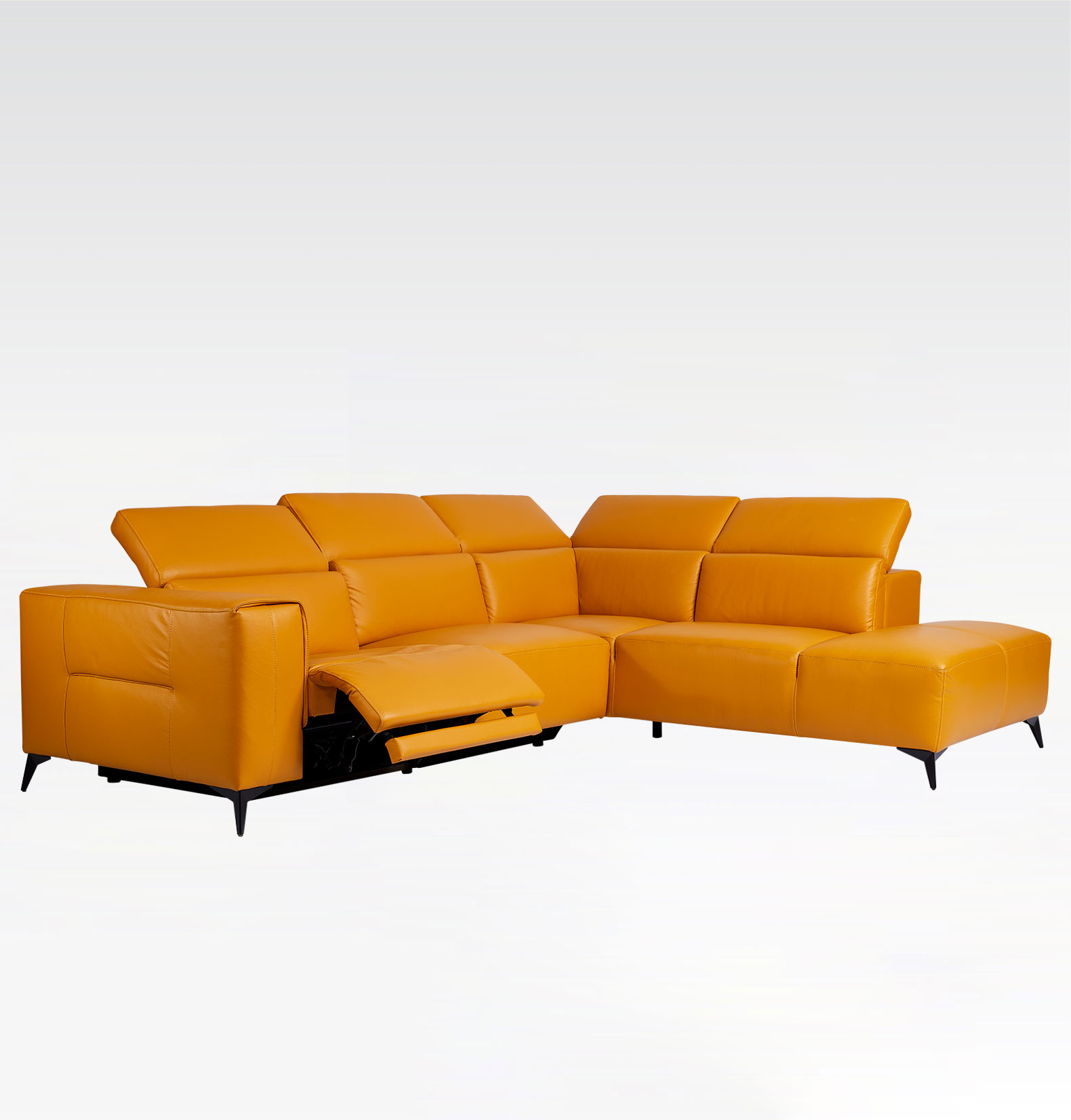 ELYSIAN | Leather Series