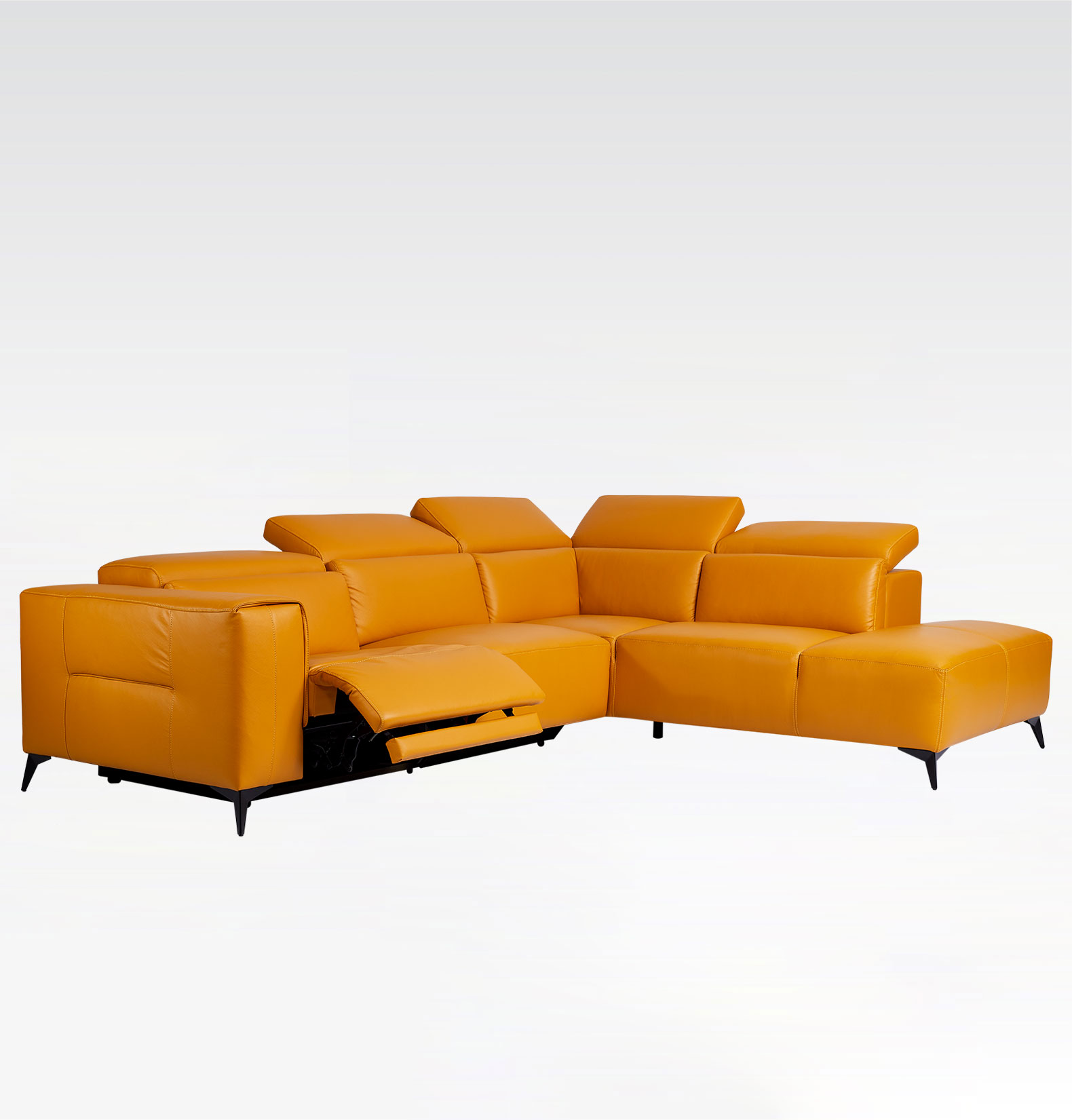 ELYSIAN | Leather Series