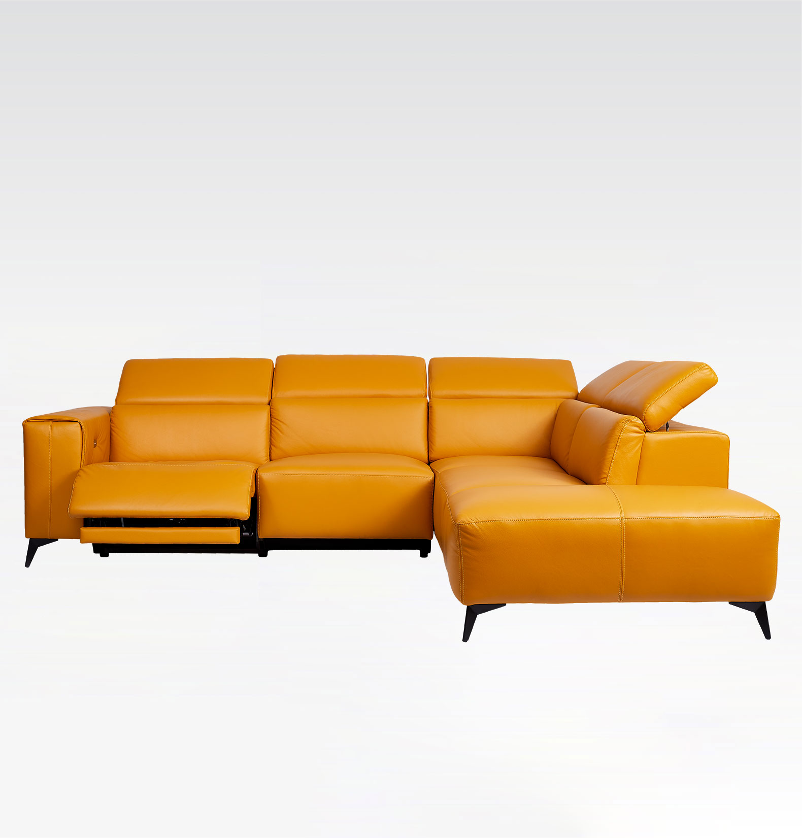 ELYSIAN | Leather Series