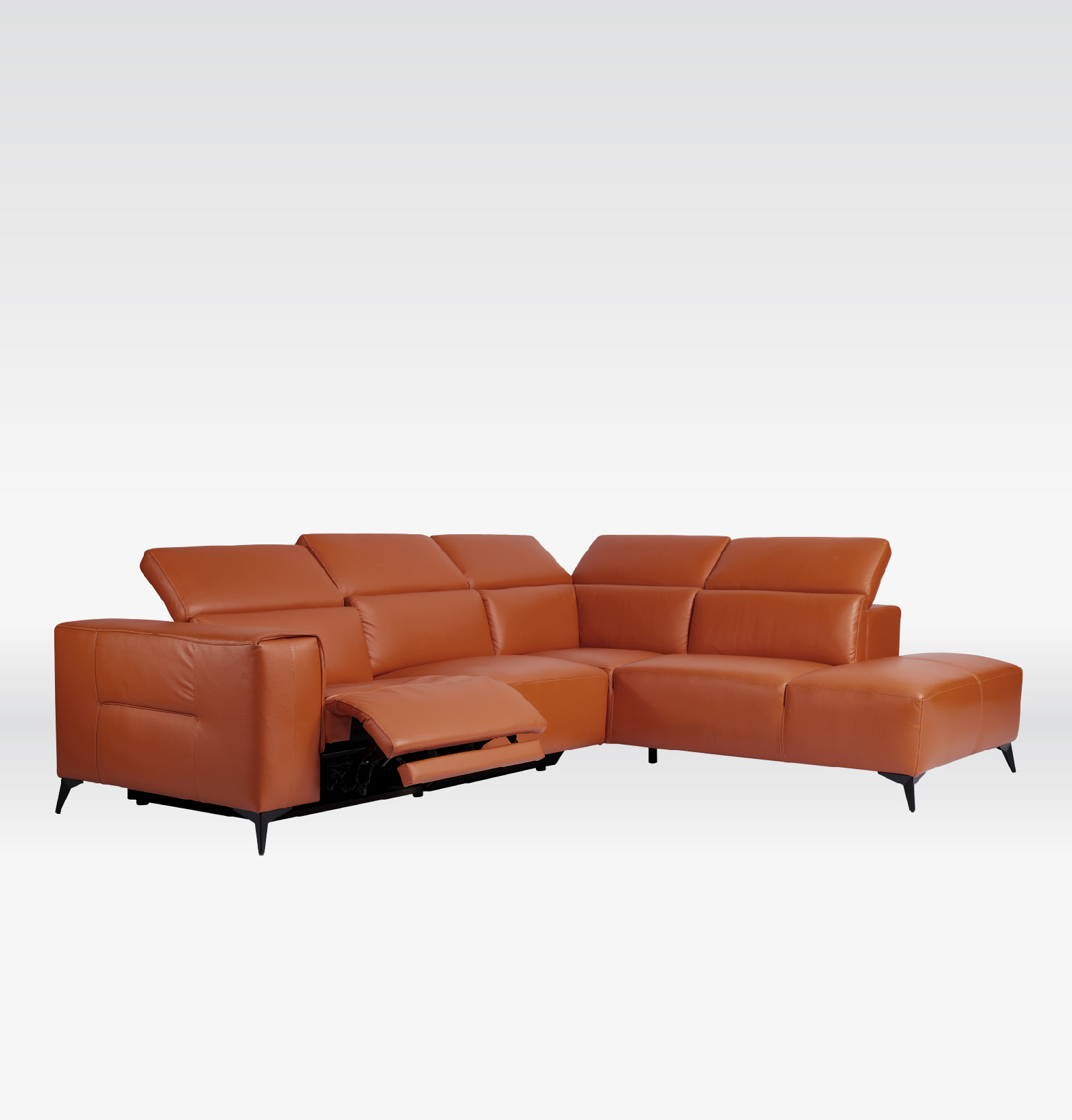 ELYSIAN | Leather Series